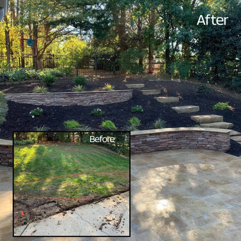 Before and After